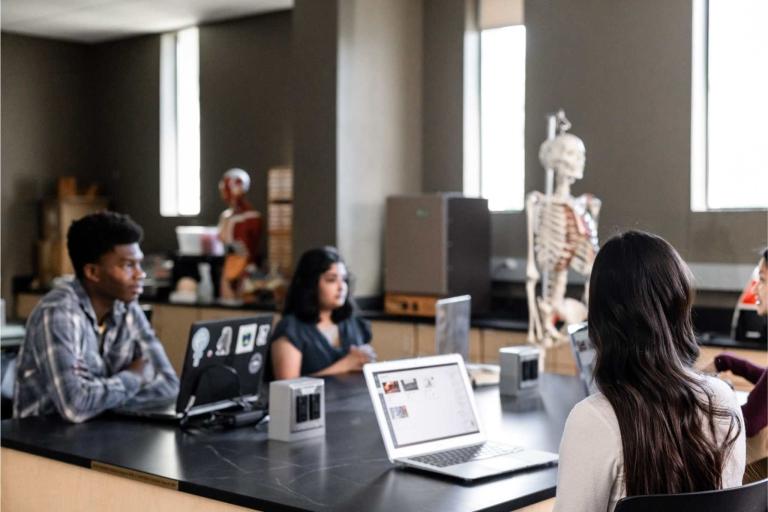 students on their laptops