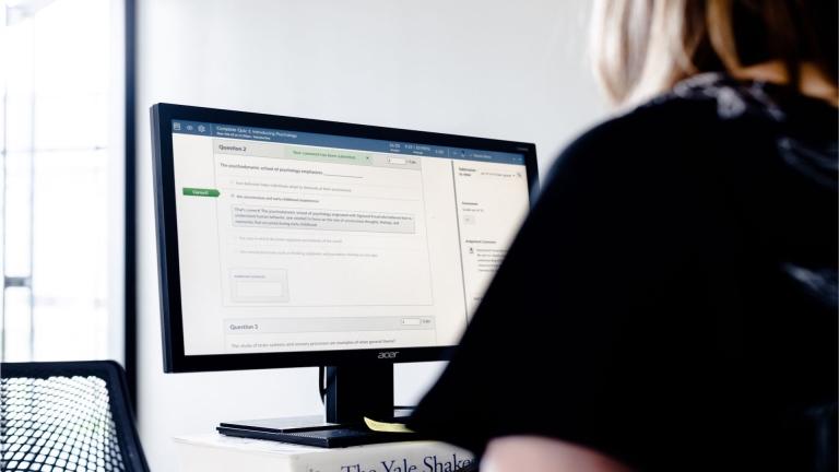 Woman at computer screen